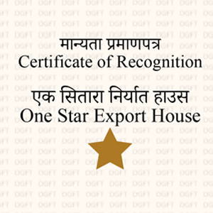 Star Performer Award